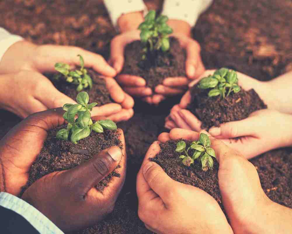 a propos de ce blog bébé, créons ensemble une communauté